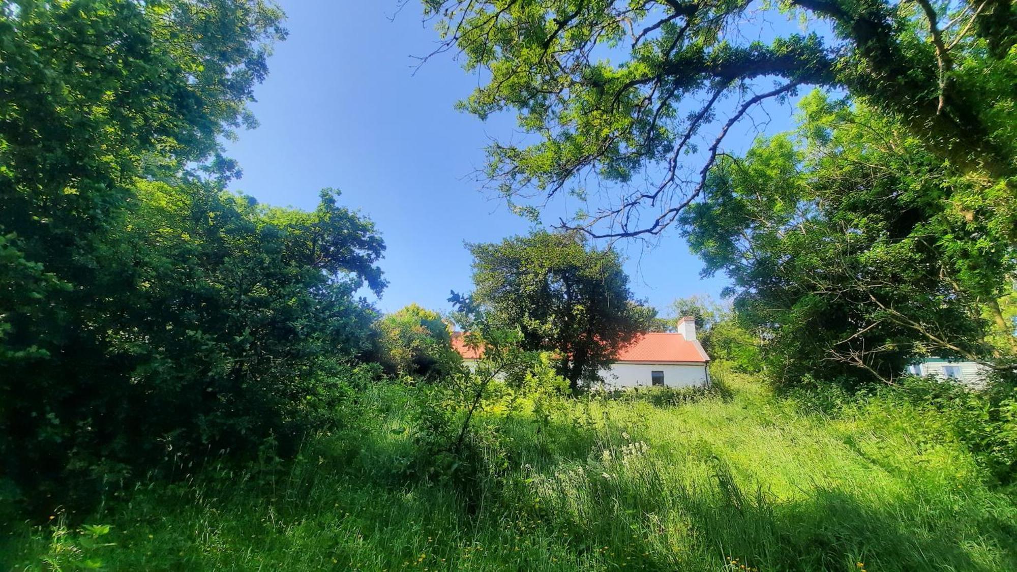 -Going Back In Time- 200 Year Old Farmhouse Creegh Extérieur photo